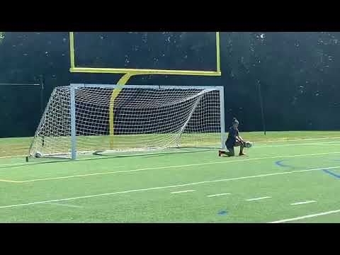 A person kneels on a sports field in front of a soccer goal under a football goalpost.